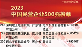 德勝集團連續14年上榜中國民營企業500強